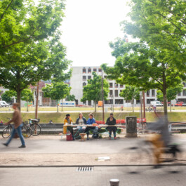 kleine-onnebrink.de